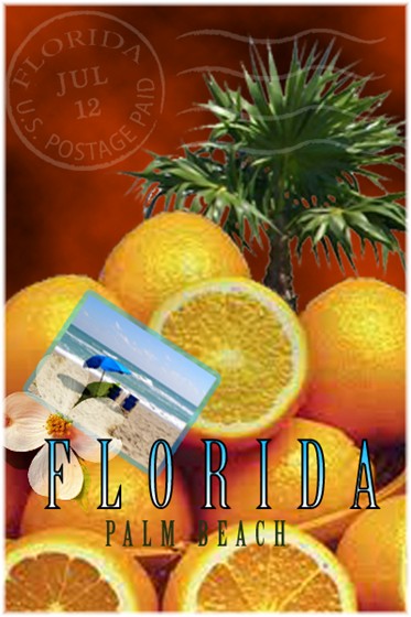 Miscellaneous: Florida Postcard