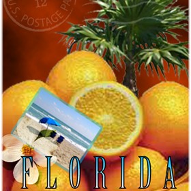 Miscellaneous: Florida Postcard